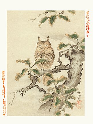 photo7.jpg