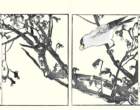 photo11_small.jpg