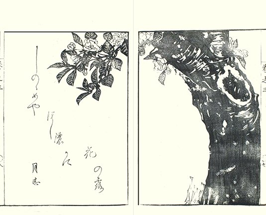 photo17.jpg