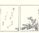 photo29_small.jpg