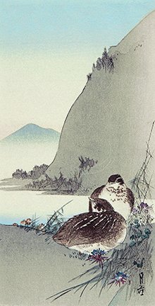photo18.jpg