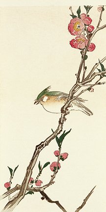 photo22.jpg