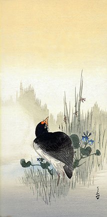 photo24.jpg
