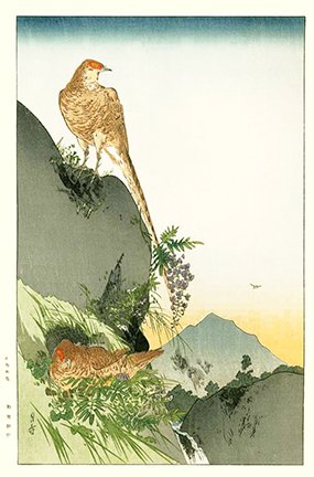 photo29.jpg