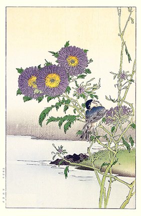 photo34.jpg
