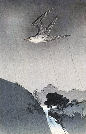 photo42.jpg