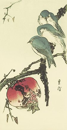 photo12.jpg