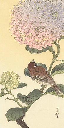 photo14.jpg