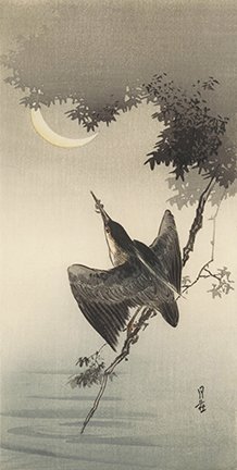 photo19.jpg