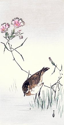 photo5.jpg