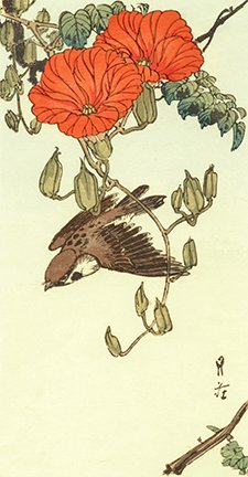 photo9.jpg