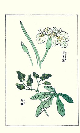 photo10.jpg