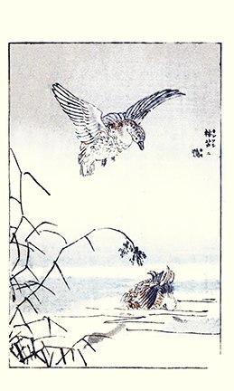 photo19.jpg