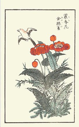 photo11.jpg