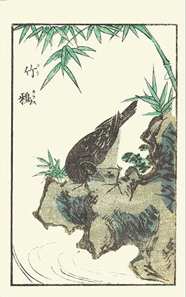 photo14.jpg