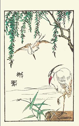 photo15.jpg