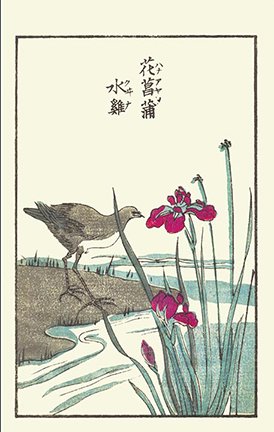 photo20.jpg