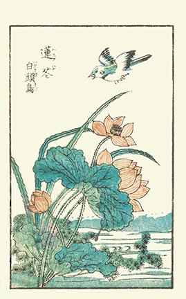 photo22.jpg