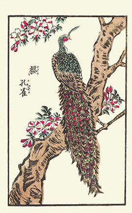 photo25.jpg