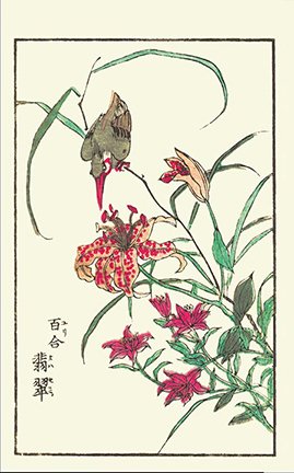 photo28.jpg