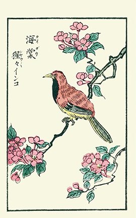 photo7.jpg