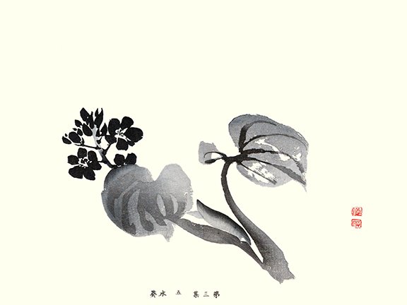 photo19.jpg