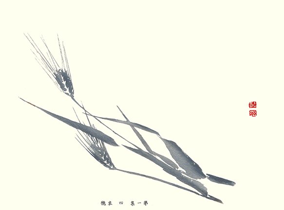photo2.jpg