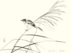 photo25_small.jpg