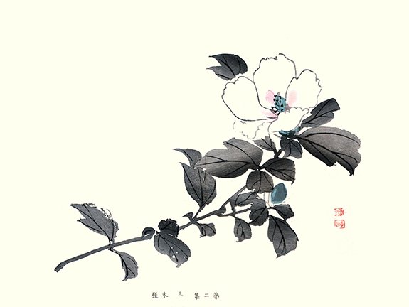 photo9.jpg
