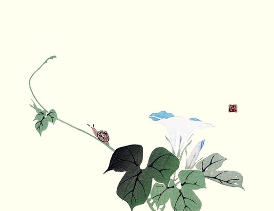photo11.jpg
