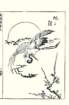 photo10_small.jpg