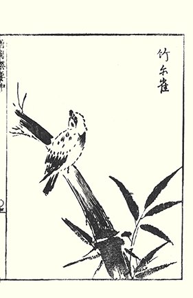 photo11.jpg