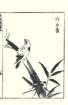 photo11_small.jpg