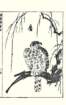 photo12_small.jpg