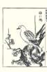 photo26_small.jpg