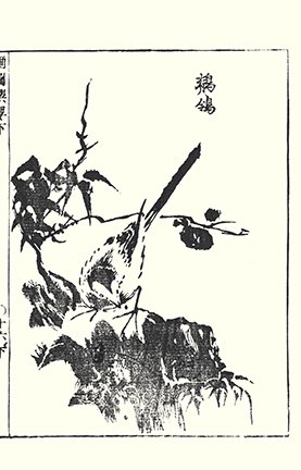 photo27.jpg