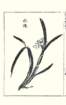 photo28_small.jpg