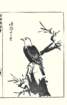 photo29_small.jpg
