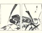 photo7_small.jpg