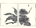 photo8_small.jpg