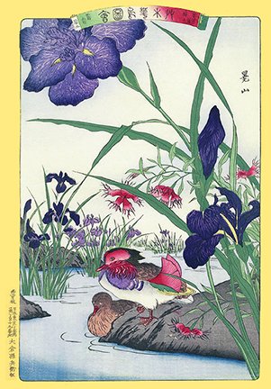 photo14.jpg