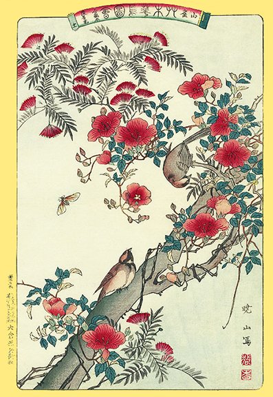 photo13.jpg