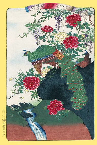 photo15.jpg