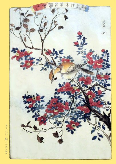 photo20.jpg