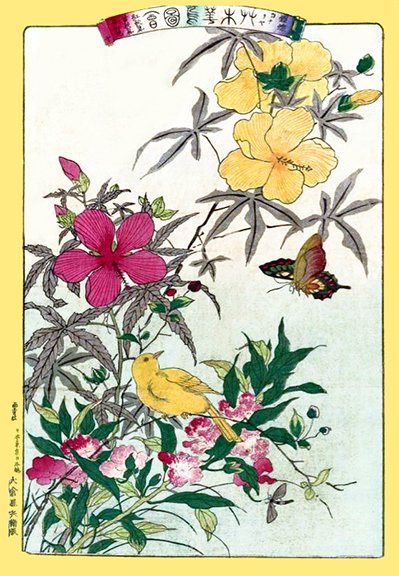 photo22.jpg