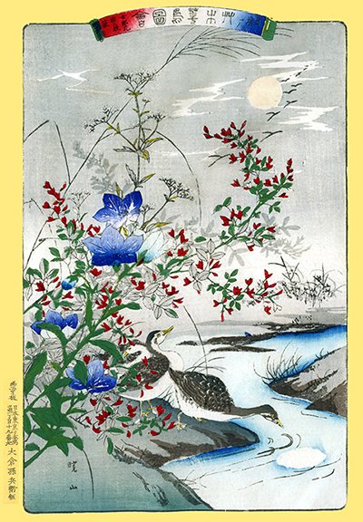 photo8.jpg