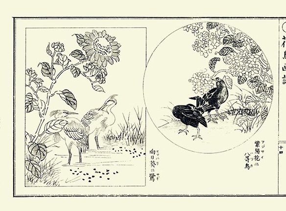 photo14.jpg