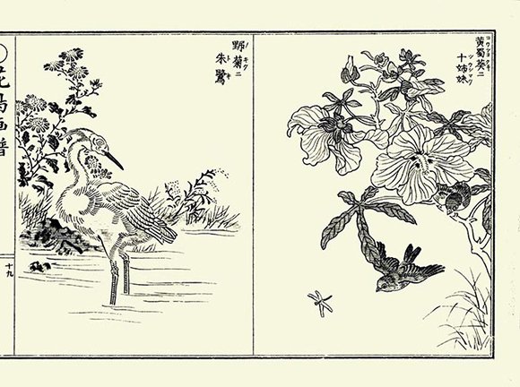 photo19.jpg