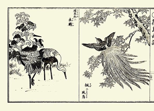 photo22.jpg