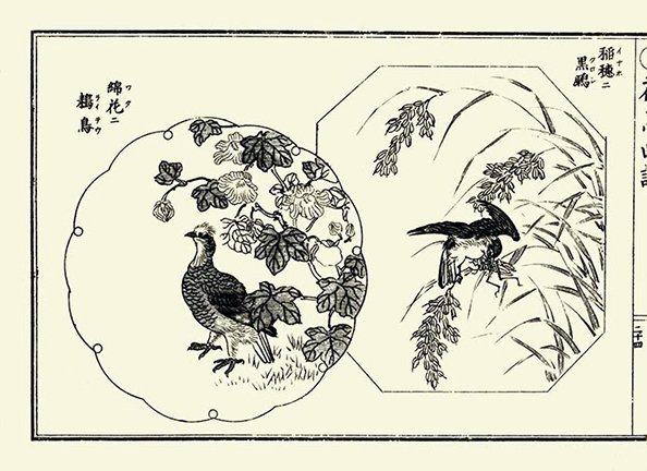 photo24.jpg